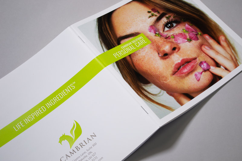 A photograph of a brochure that is open face down on the ground, with the front and back cover facing the camera.
